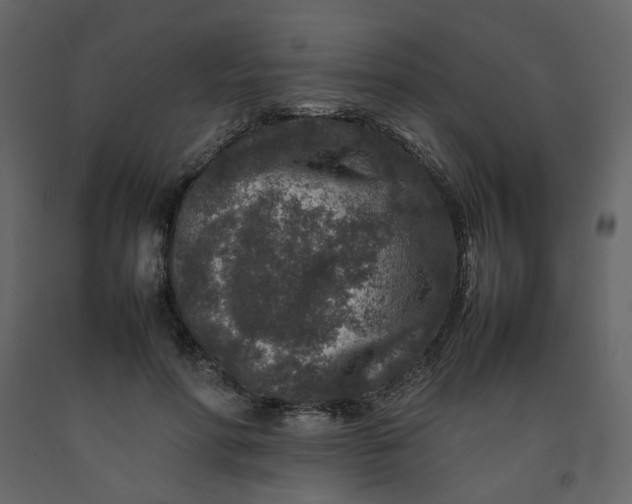 X0000092230598200710051220