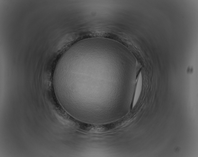 X0000092230599200710051220