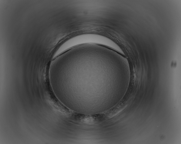 X0000092230600200710051220