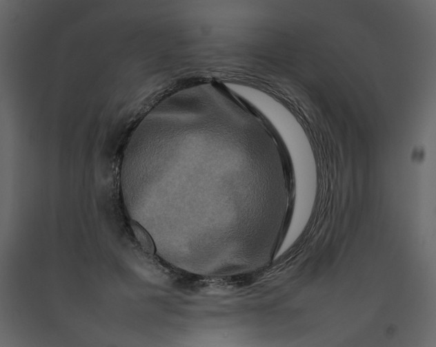 X0000092230601200710051220