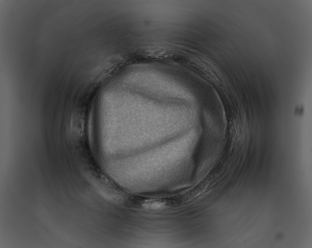 X0000092230602200710051220