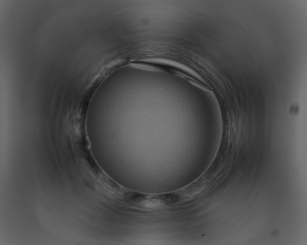 X0000092230604200710051220