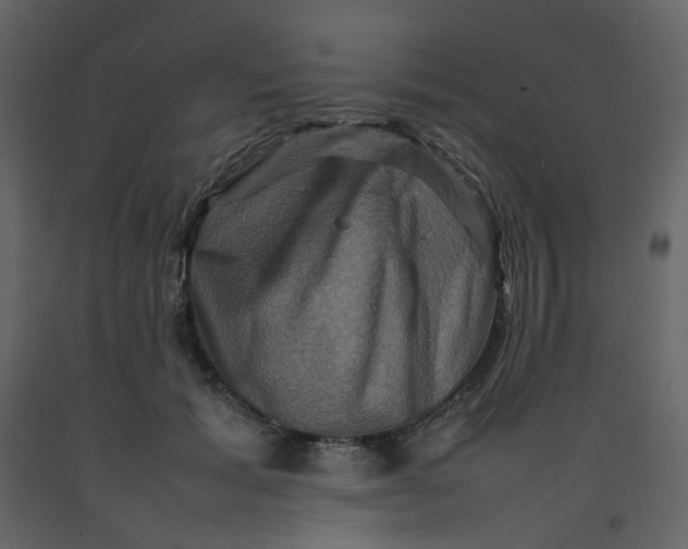 X0000092230605200710051220