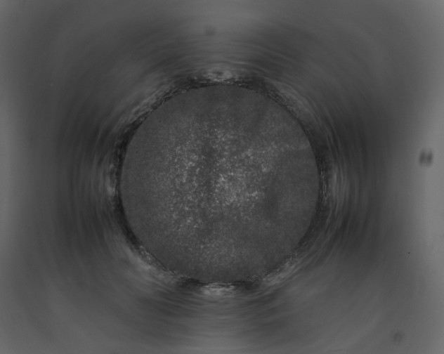 X0000092230606200710051220