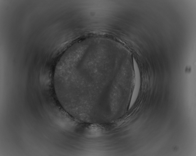 X0000092230608200710051220