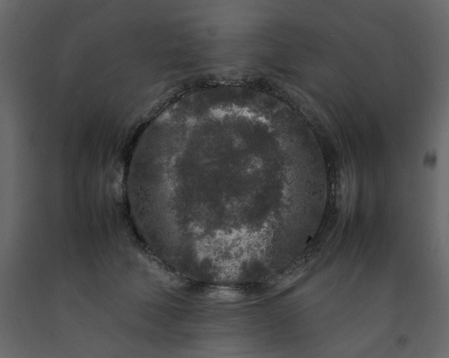 X0000092230610200710051220