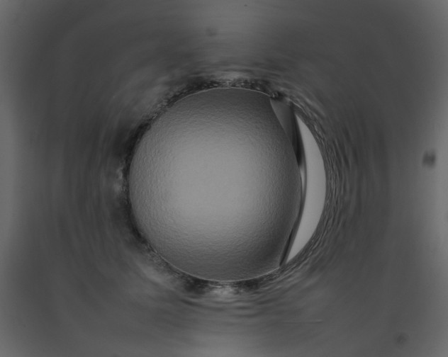 X0000092230611200710051220