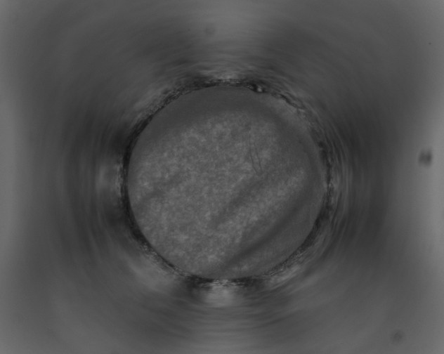 X0000092230612200710051220