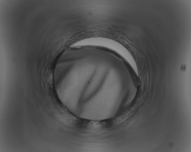 X0000092230613200710051220