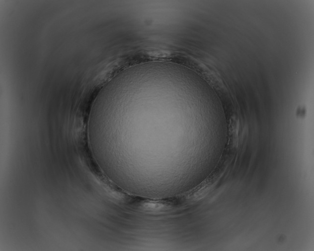 X0000092230614200710051220