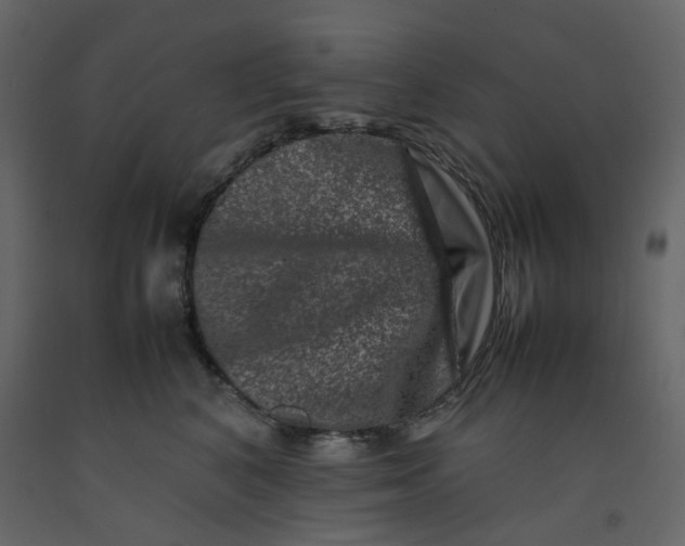 X0000092230616200710051220