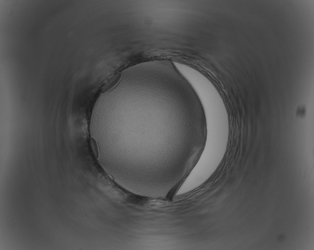 X0000092230617200710051220