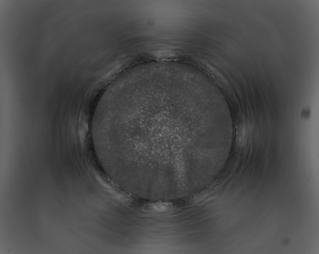 X0000092230618200710051220