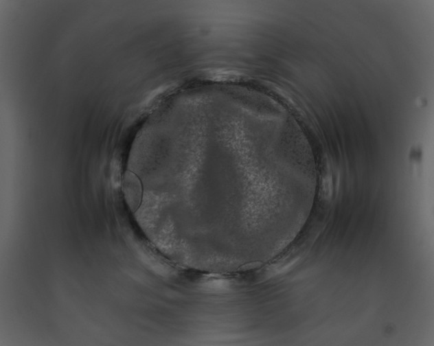 X0000092230620200710051220