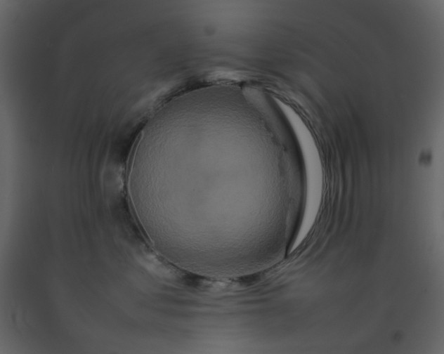 X0000092230621200710051220