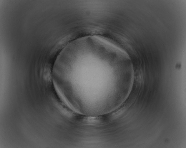 X0000092230622200710051220