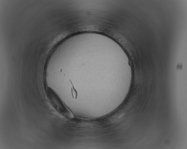 X0000092230625200710051219