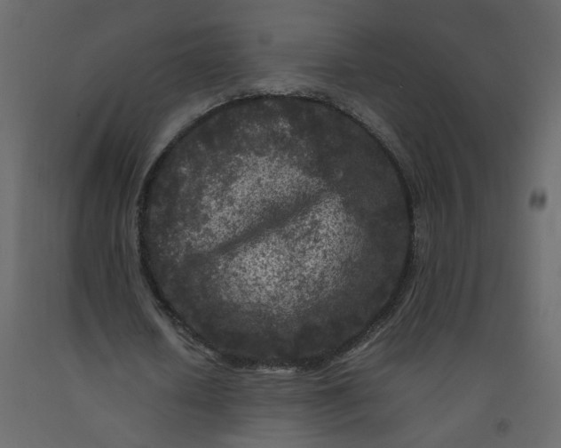 X0000092230626200710051219