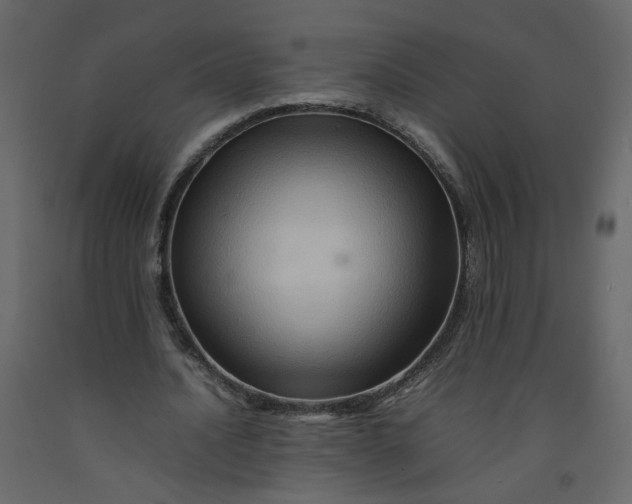 X0000092230628200710051219