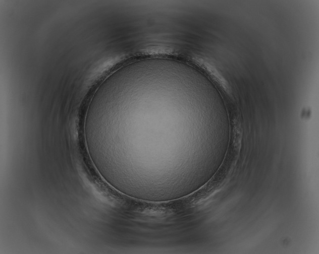 X0000092230631200710051219