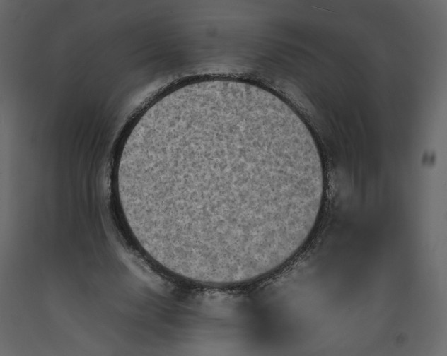 X0000092230632200710051219