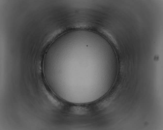 X0000092230633200710051219