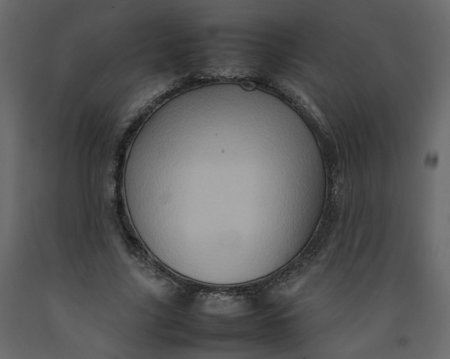 X0000092230635200710051219