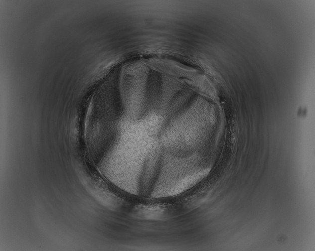 X0000092230639200710051219