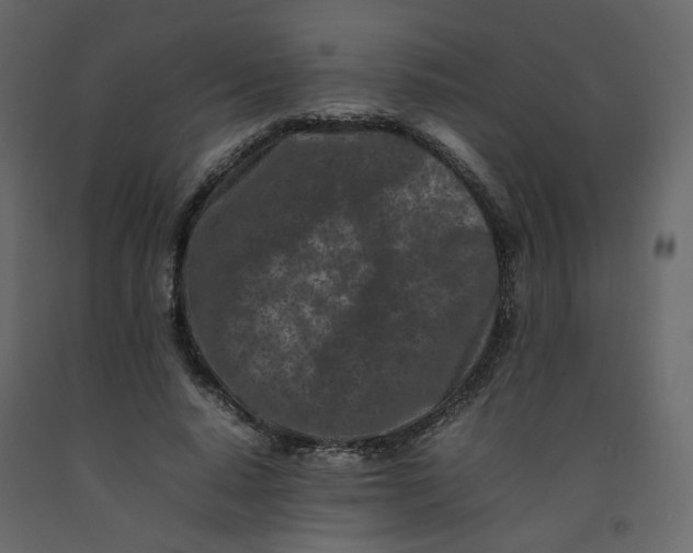 X0000092230640200710051219