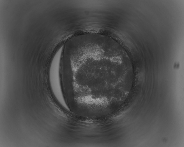 X0000092230641200710051219