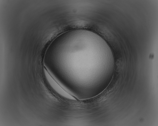 X0000092230642200710051219