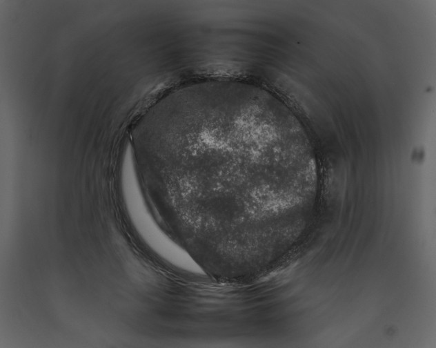 X0000092230643200710051219