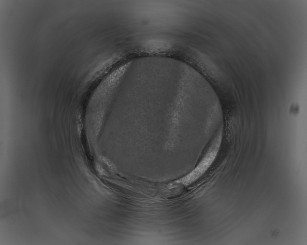 X0000092230644200710051219