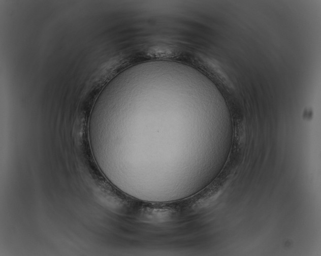 X0000092230645200710051219