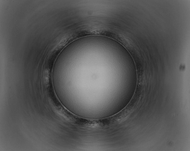 X0000092230646200710051219