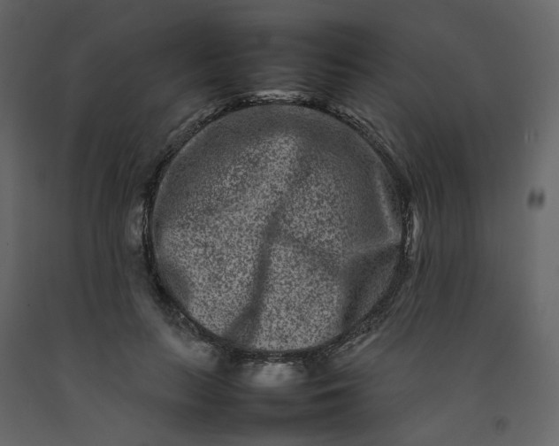 X0000092230647200710051219