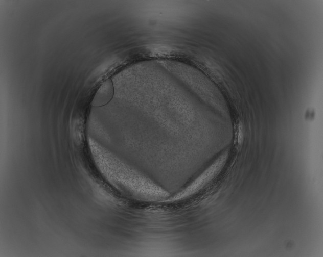 X0000092230648200710051219