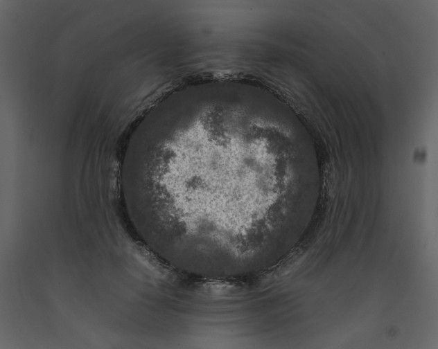 X0000092230650200710051219