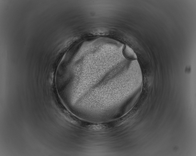 X0000092230652200710051219