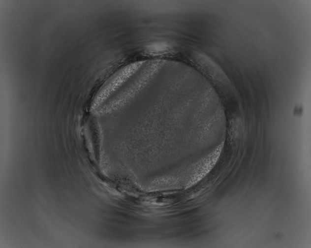 X0000092230653200710051219