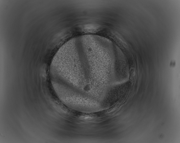 X0000092230655200710051219