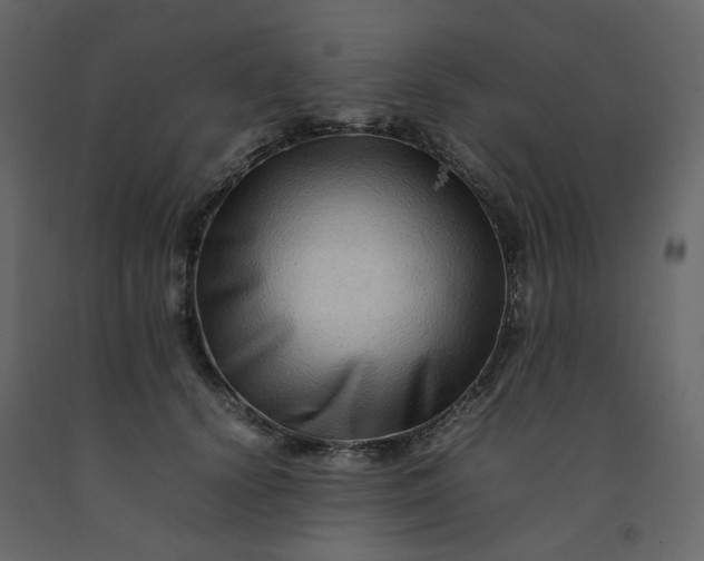 X0000092230656200710051220