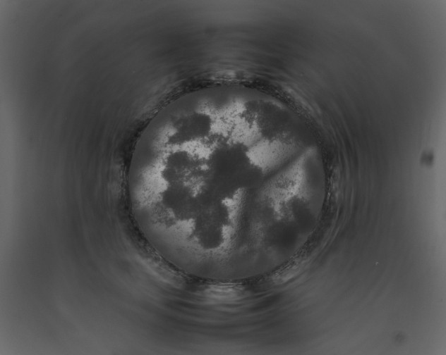 X0000092230659200710051220