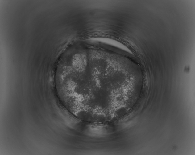 X0000092230661200710051220