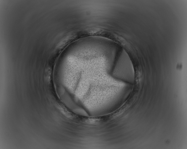 X0000092230664200710051220