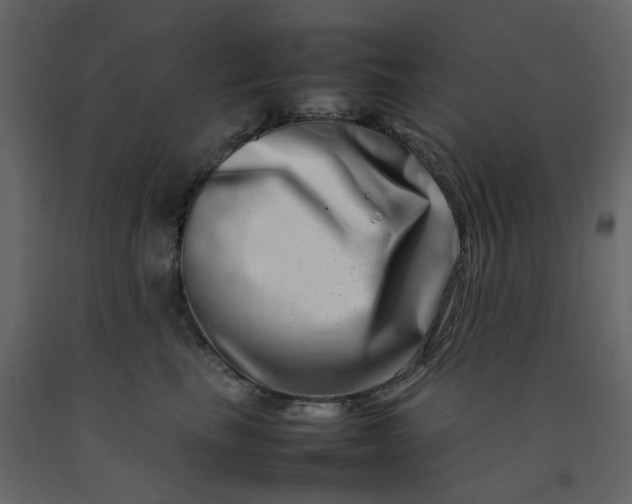 X0000092230665200710051220