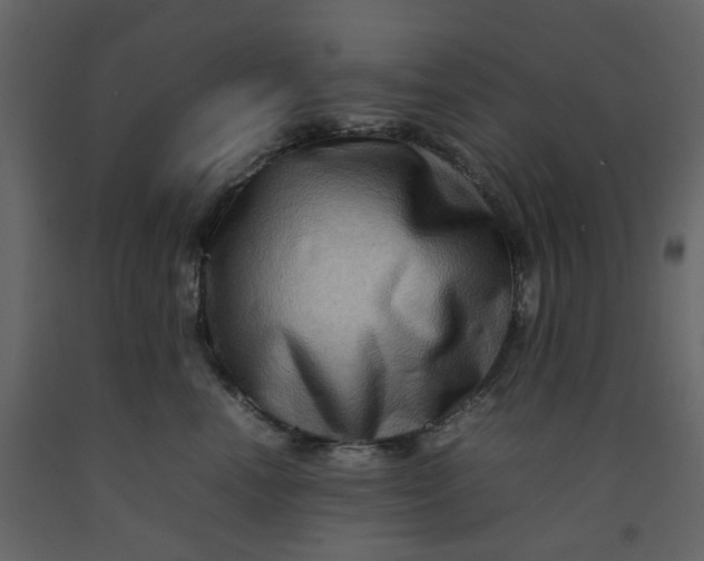 X0000092230666200710051220