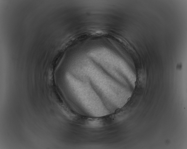 X0000092230667200710051220