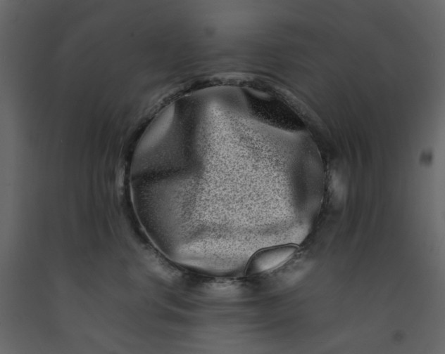 X0000092230668200710051220