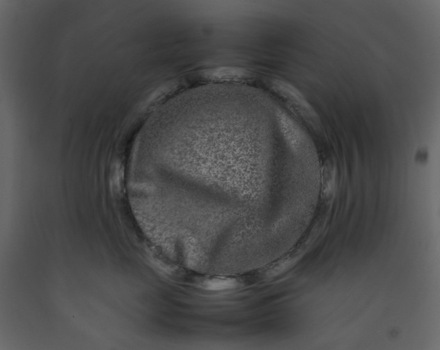 X0000092230669200710051220